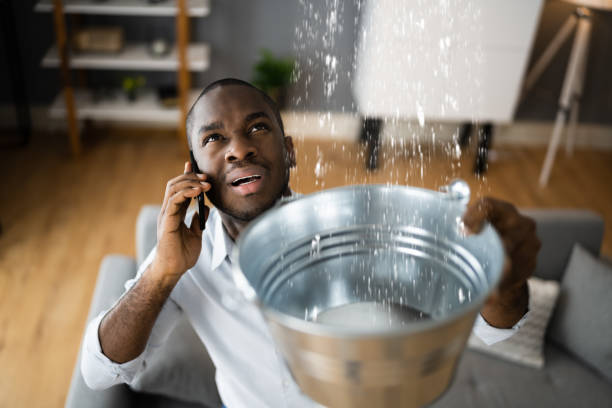 Best 24/7 water damage repair  in Hyde Park, UT