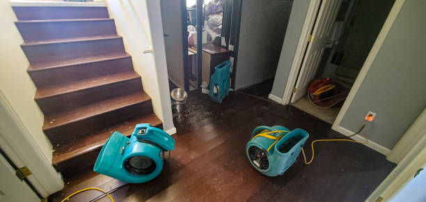 Best Water damage mitigation services  in Hyde Park, UT