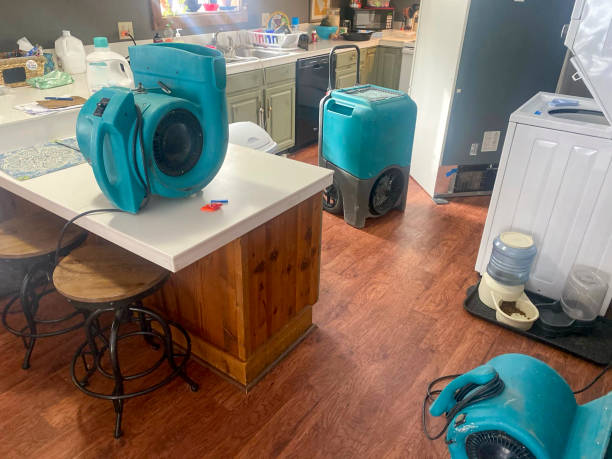 Best Ceiling water damage repair  in Hyde Park, UT