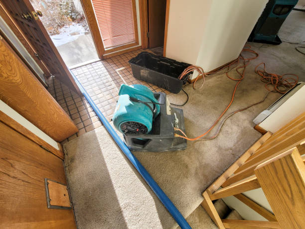 , UT Water damage restoration Company