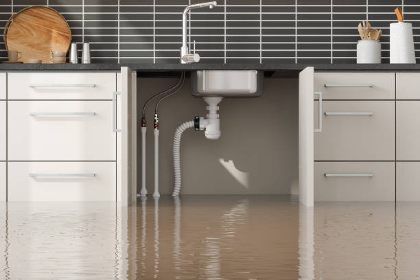  Hyde Park, UT Water damage restoration Pros