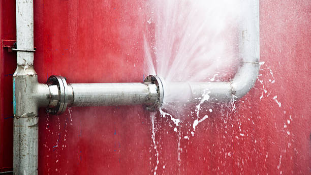 Best Carpet water damage restoration  in Hyde Park, UT